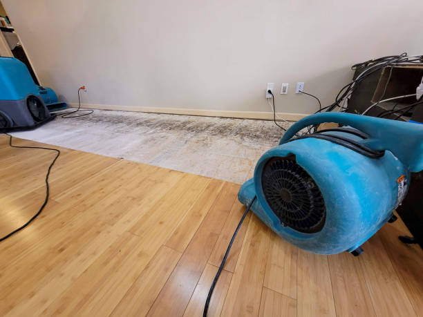 Professional Water Damage Repair technician working in Dunkirk, OH